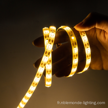 Strip LED flexible multiple imperméable extérieur